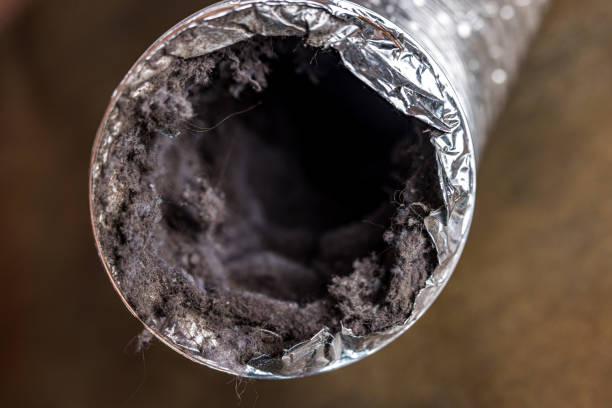 Reliable Wakefield, VA Airduct Cleaning Solutions